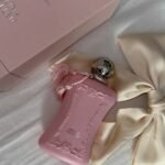 Delina Exclusive perfume 100 mll اماراتي